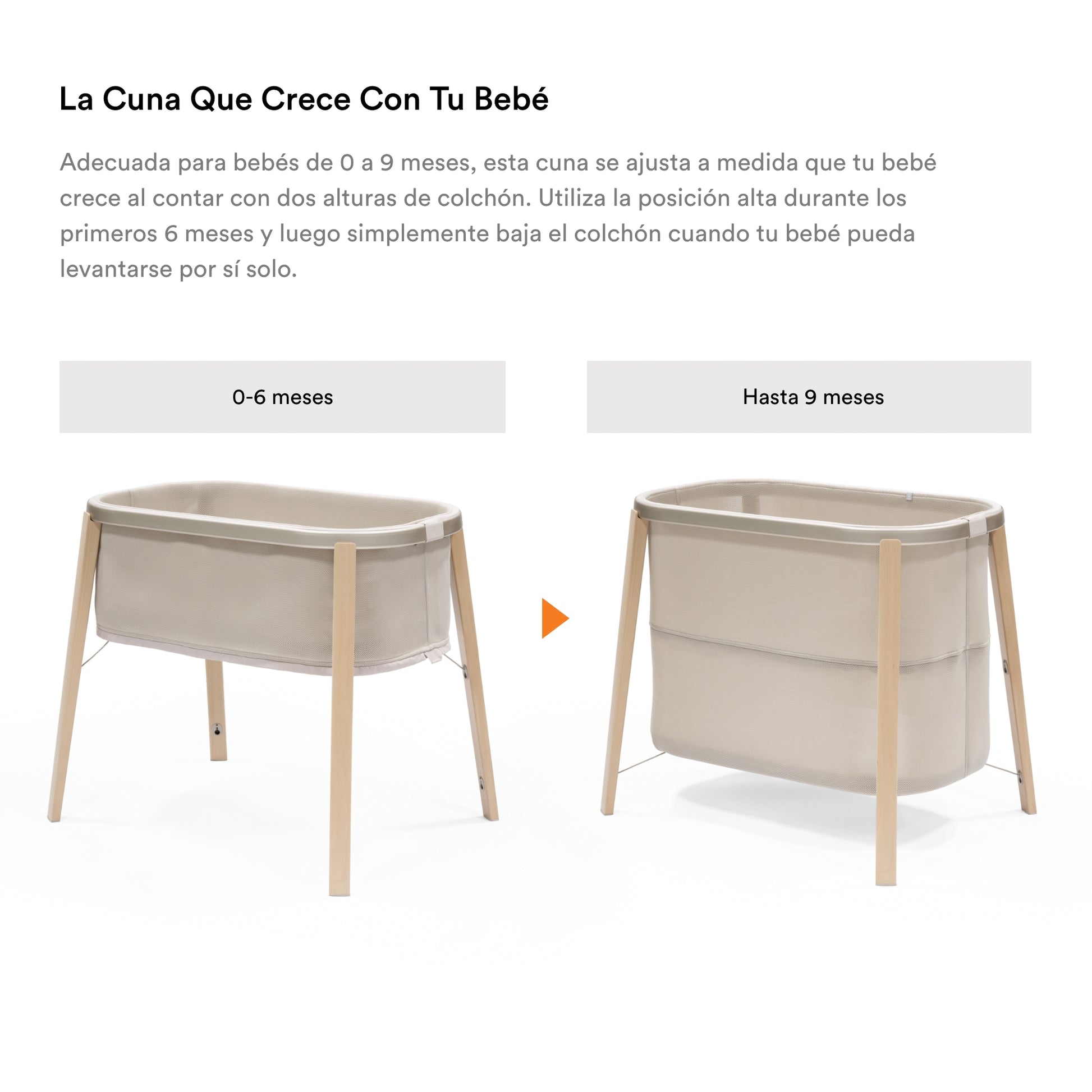 Moisés Stokke® Snoozi™